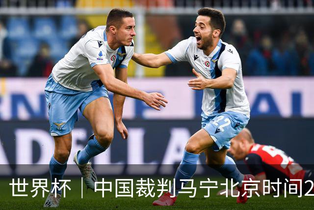 世界杯｜中国裁判马宁北京时间21日登场任主裁